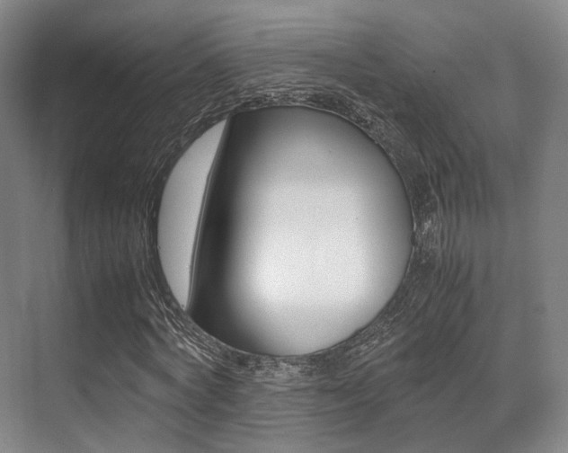 X0000070250772200606020958