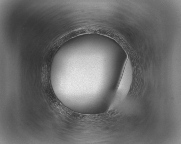 X0000070250773200606020958