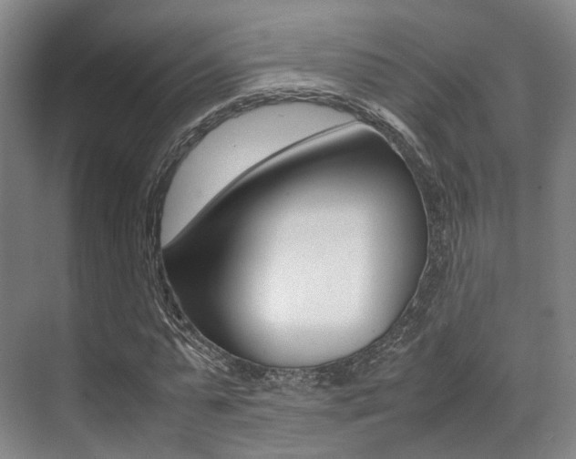 X0000070250775200606020957