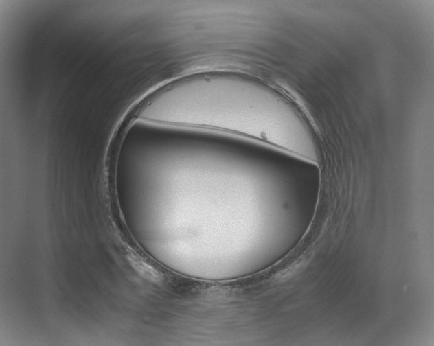 X0000070250779200606020957