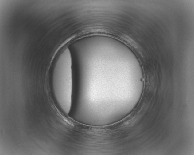 X0000070250782200606020957