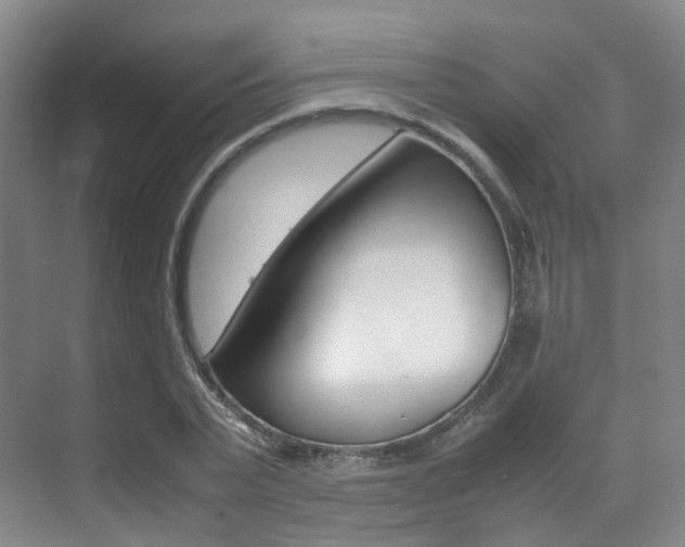 X0000070250783200606020957