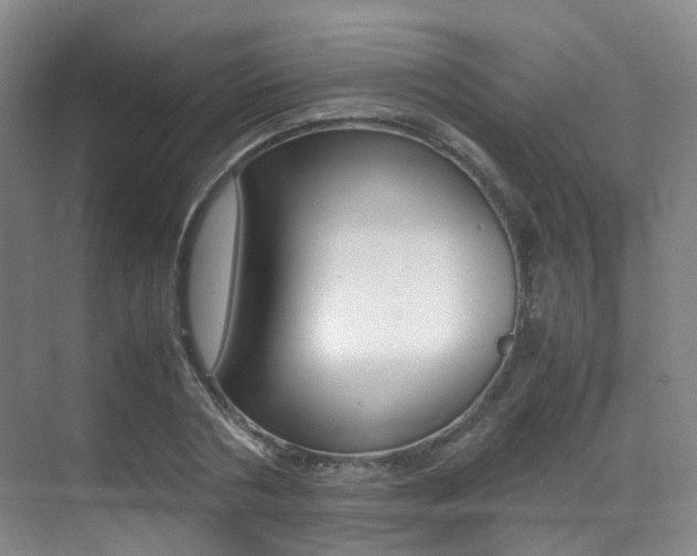 X0000070250786200606020957