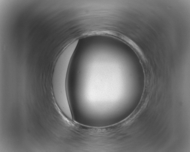 X0000070250809200606020957