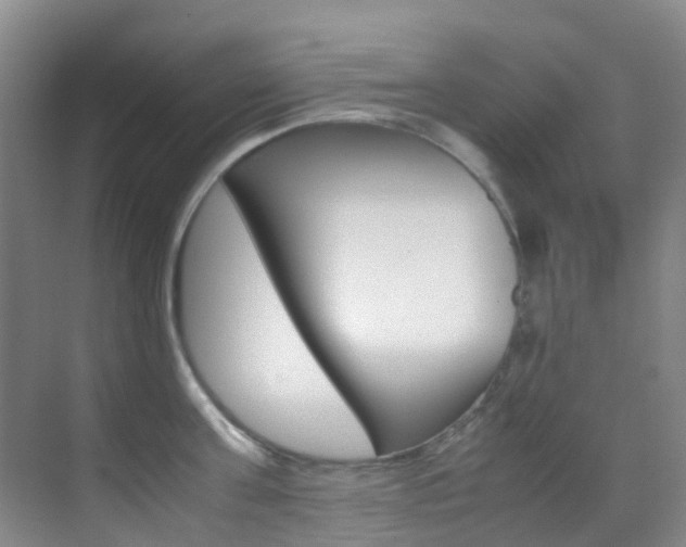 X0000070250811200606020957