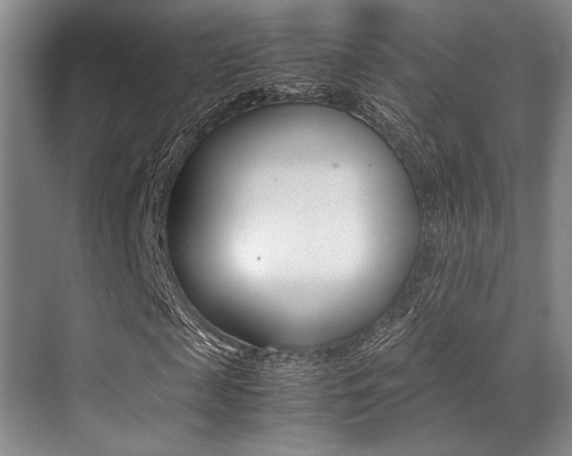 X0000070250817200606020956