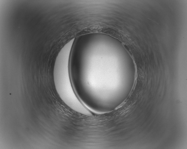 X0000070250818200606020956