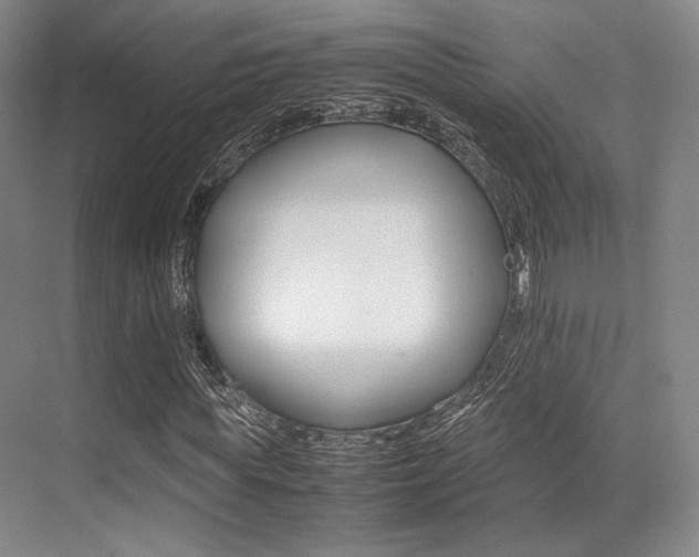X0000070250819200606020956