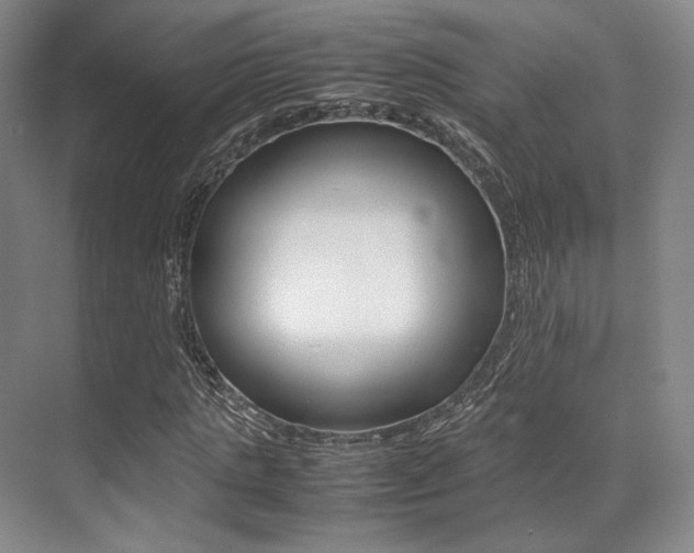 X0000070250821200606020956