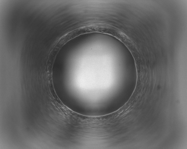 X0000070250822200606020956