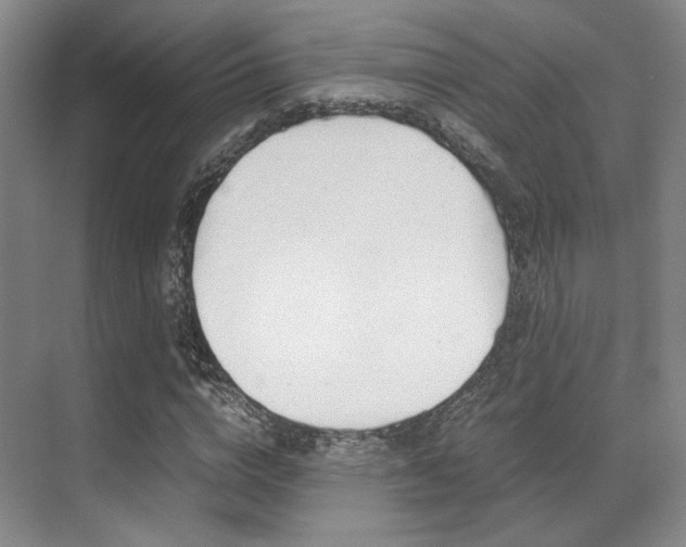 X0000070250824200606020956