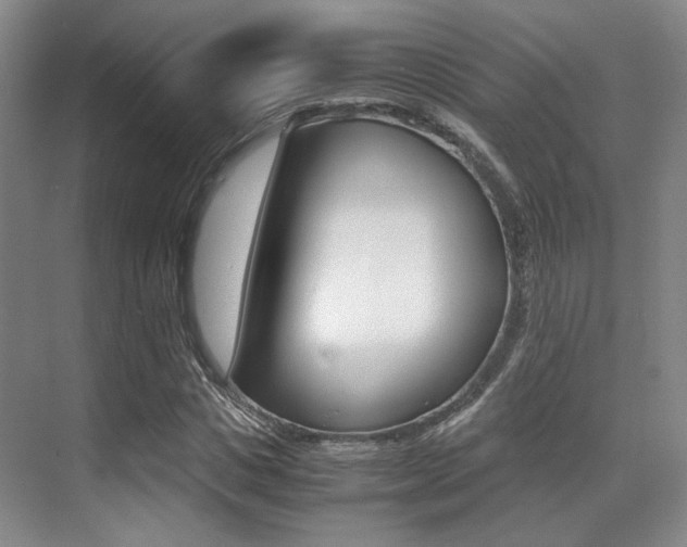 X0000070250825200606020956