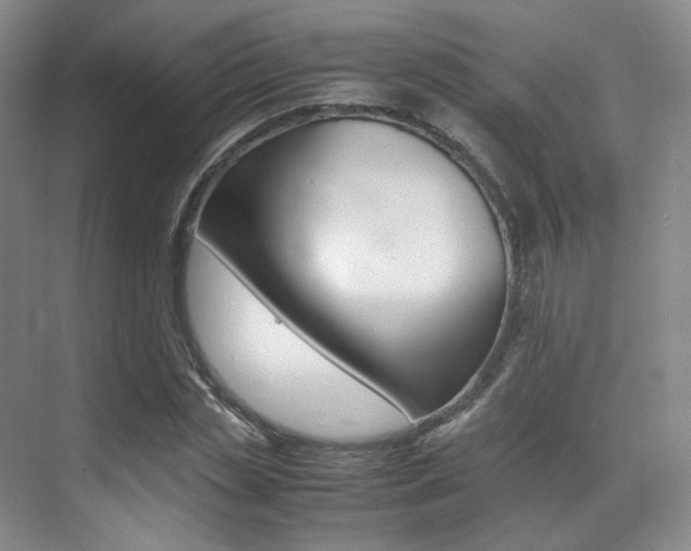 X0000070250829200606020956