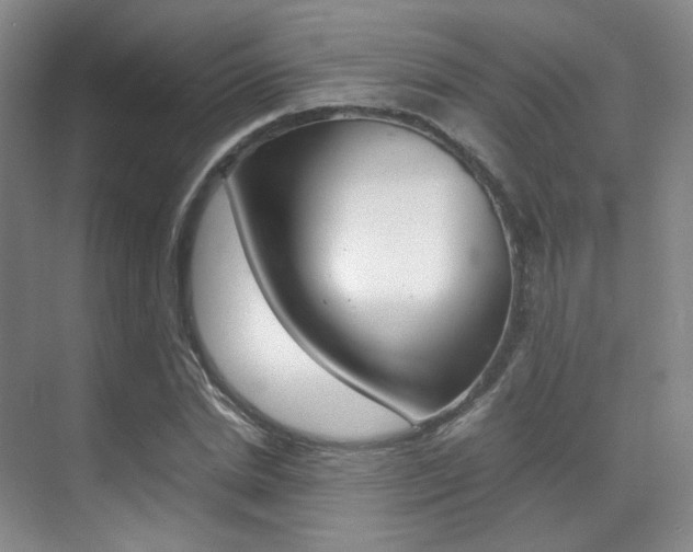 X0000070250830200606020956