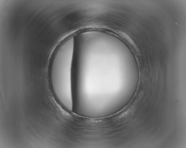 X0000070250831200606020956
