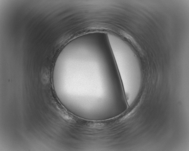 X0000070250833200606020956
