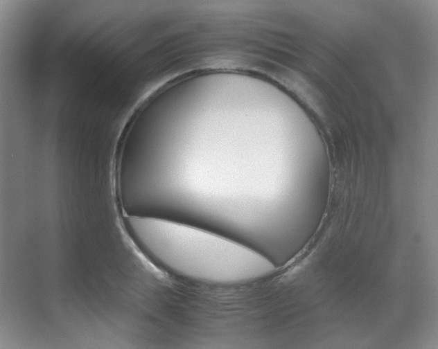 X0000070250839200606020956