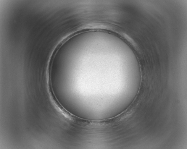 X0000070250840200606020956