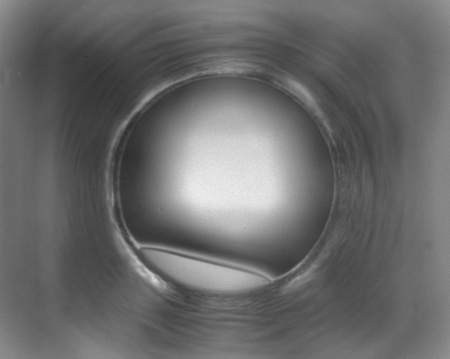 X0000070250843200606020956
