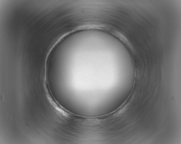 X0000070250844200606020956