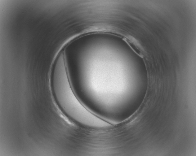 X0000070250846200606020956