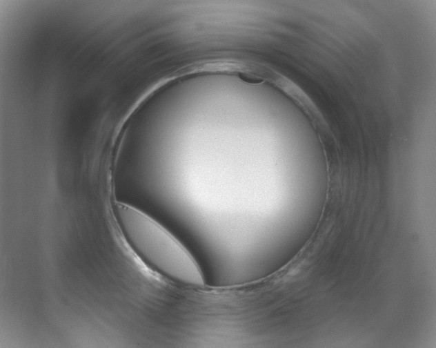 X0000070250852200606020957