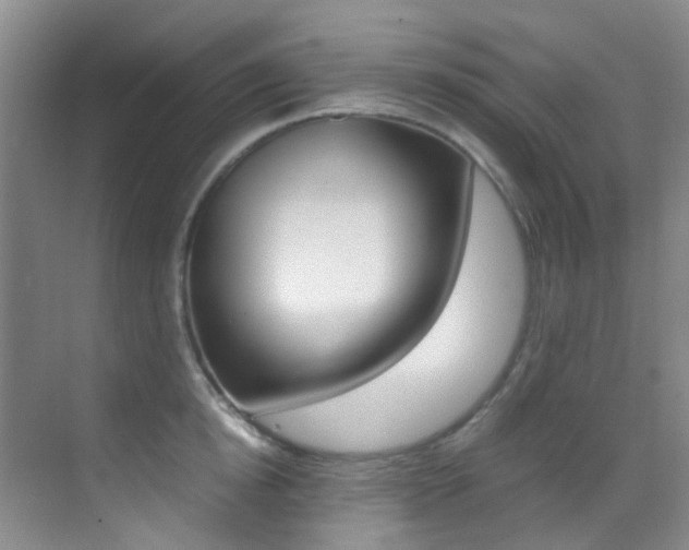 X0000070250854200606020957