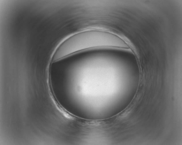 X0000070250862200606020957