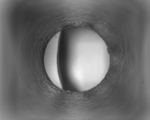 X0000070250865200606020956