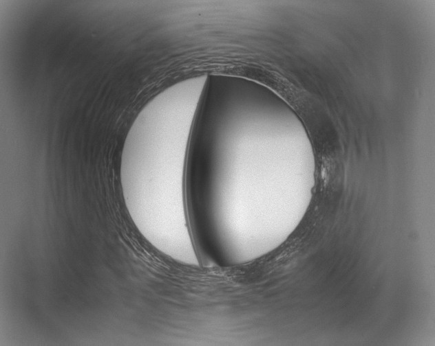X0000070250867200606020956