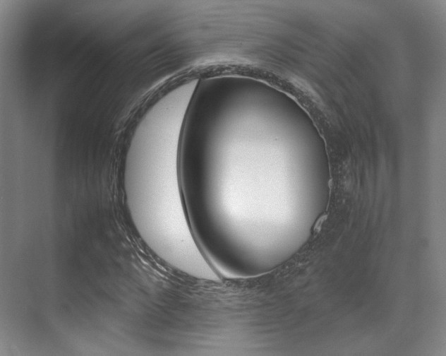 X0000070250872200606020956
