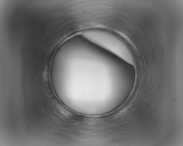 X0000070250873200606020956