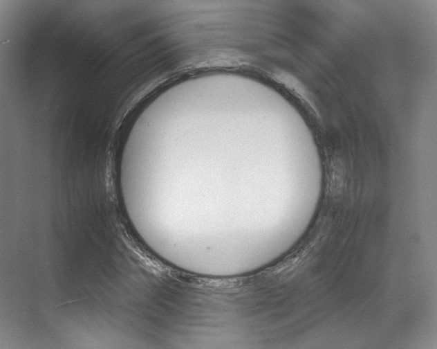 X0000070250874200606020956