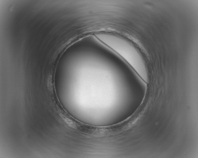 X0000070250881200606020956