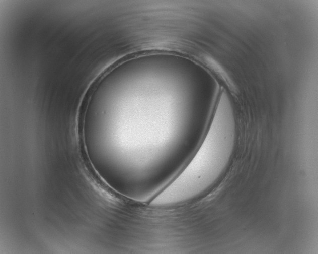 X0000070250884200606020956