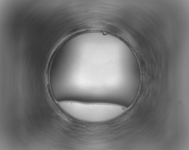 X0000070250891200606020955