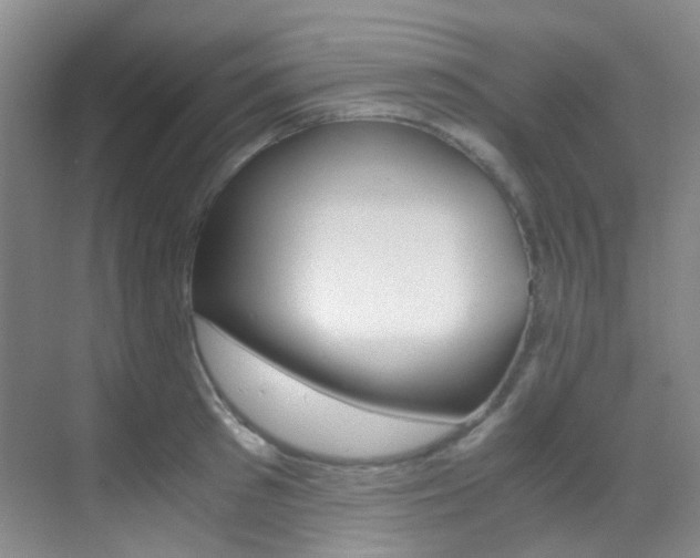 X0000070250897200606020955