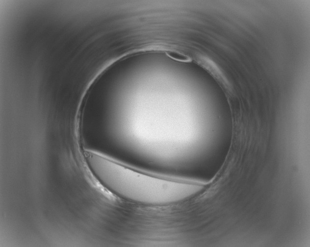 X0000070250900200606020955