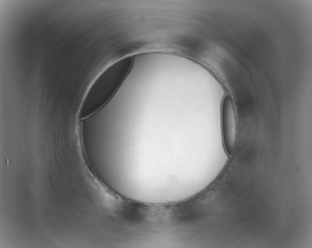 X0000070250907200606020955