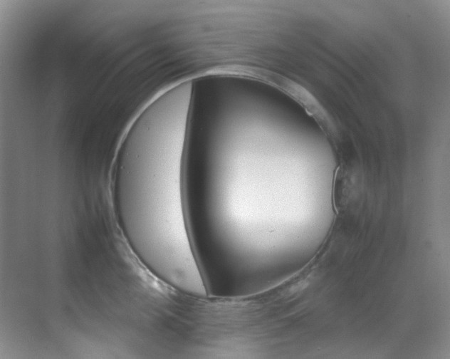 X0000070250908200606020955
