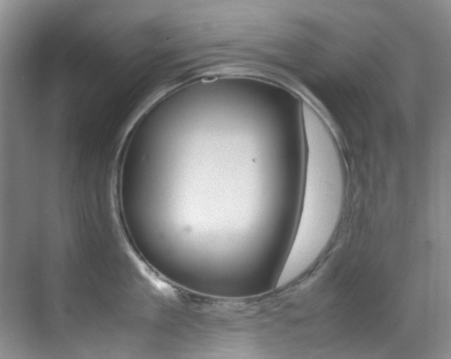 X0000070250909200606020955