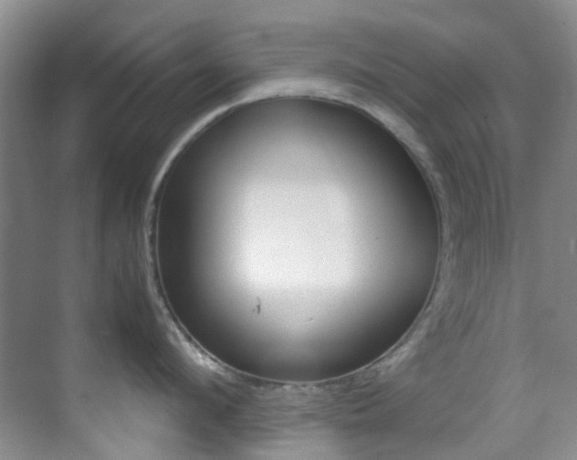 X0000070250912200606020955