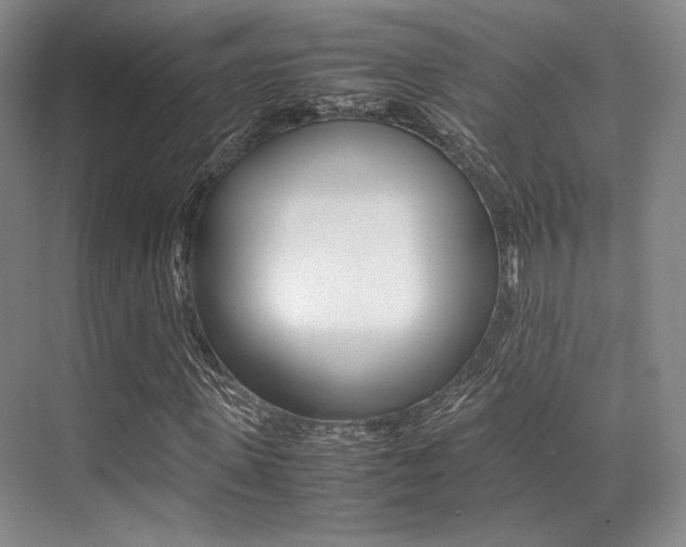 X0000070250915200606020954