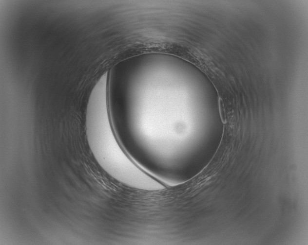 X0000070250916200606020954