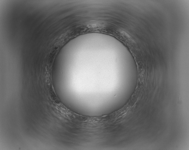 X0000070250917200606020954