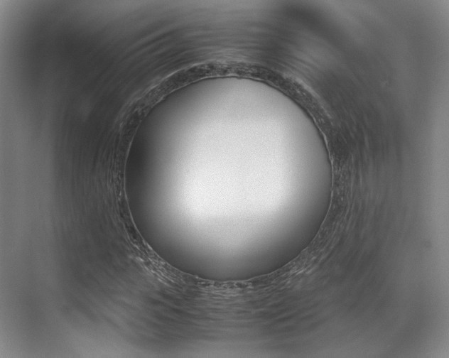 X0000070250919200606020954
