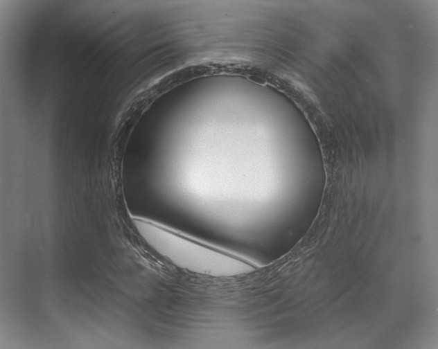 X0000070250920200606020954