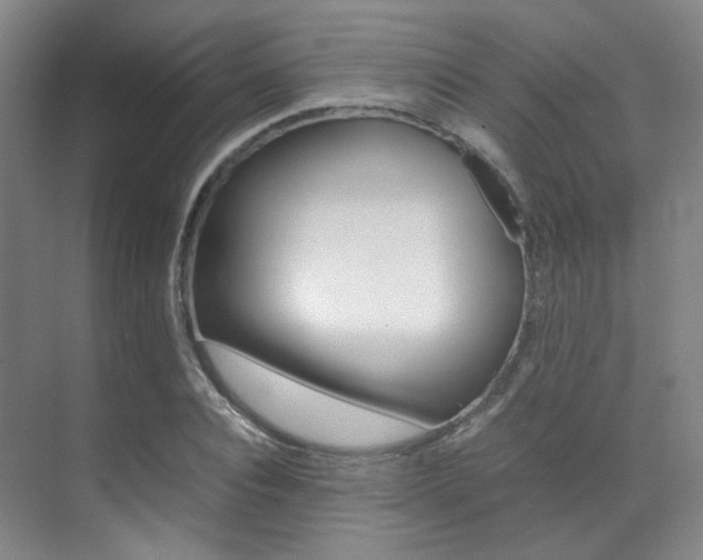 X0000070250928200606020955