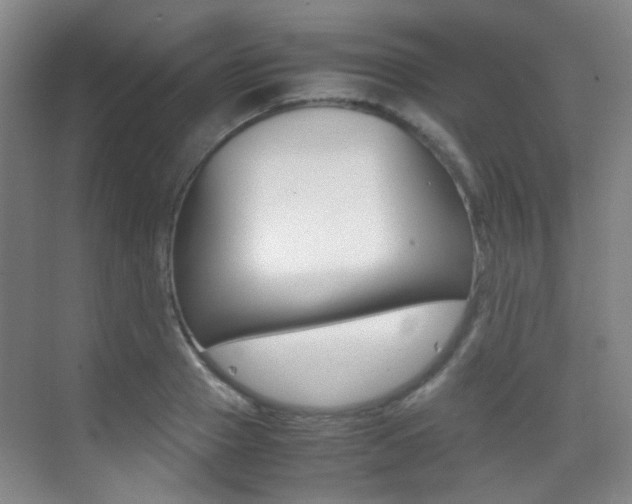 X0000070250937200606020955