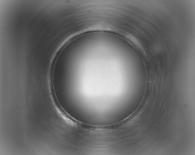 X0000070250942200606020955